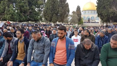 Photo of خطيب الأقصى يشيد بردة الفعل بشأن القدس ويدعو قادة العرب لتناغم مواقفهم مع شعوبهم