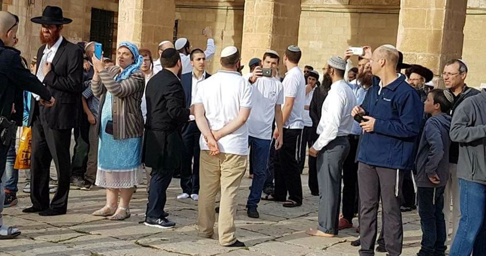 Photo of 67 مستوطنًا يهوديًا يقتحمون المسجد الأقصى