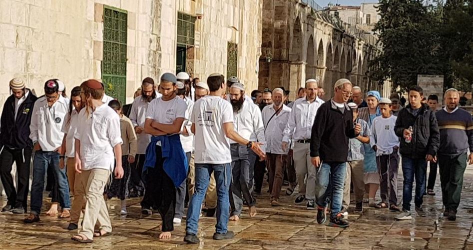 Photo of 96 إسرائيليًّا يقتحمون المسجد الأقصى