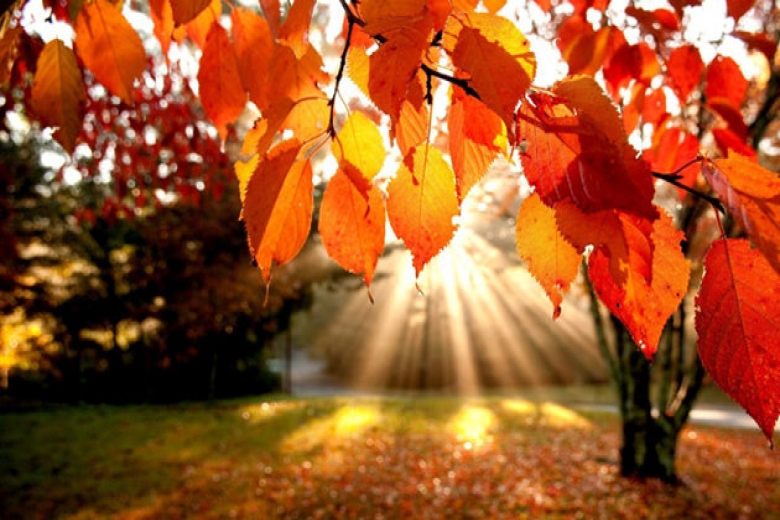 Photo of الخريف يبدأ الأحد ويستمر 89 يومًا