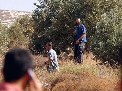 Photo of مستوطنون يقطعون عشرات اشجار اللوز جنوب نابلس