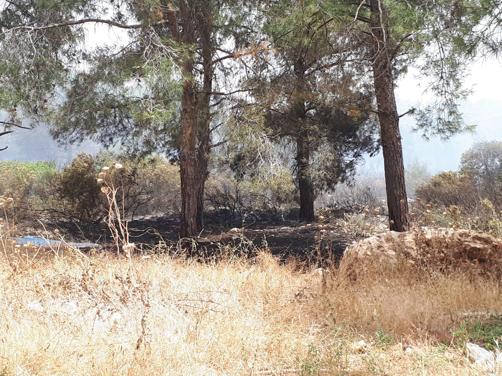 Photo of بفعل الحر الشديد: حريق في منطقة حرشية في شفاعمرو