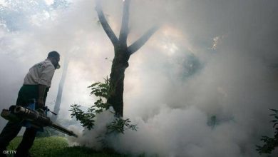 Photo of خبراء يتحدون: الملاريا يمكن أن تختفي خلال 30 عاما