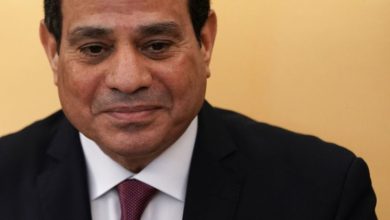 Photo of هل سخرت “روتانا” من السيسي بعد فضائح محمد علي؟