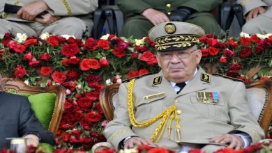 Photo of قائد الجيش الجزائري: كشفنا مؤامرة وتعاملنا معها بحزم