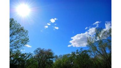 Photo of حالة الطقس: أجواء صيفية عادية  