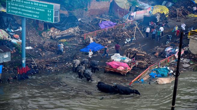 Photo of عشرات القتلى في فيضانات شمال الهند
