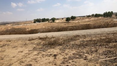 Photo of للمرة 160: اقتحام قرية العراقيب وهدم مساكنها