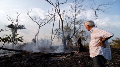 Photo of حرائق الأمازون متواصلة… ومافيا الغابات تستقوي بعهد بولسونارو