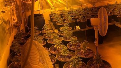 Photo of ضبط مختبر لزراعة المخدرات في “نوف هجليل” واعتقال صاحبه