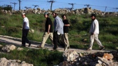 Photo of مستوطنون يقتحمون منطقة جدور الأثرية ببيت أمر