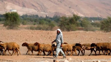Photo of الغارديان: ضم الضفة ينهي حلم السلام ويحولها لسجن كبير