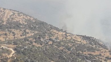 Photo of مدفعية إسرائيلية تقصف مزارع شبعا اللبنانية
