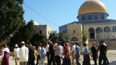 Photo of الأورومتوسطي: اقتحامات المستوطنين للأقصى ترجمة لتوجهات رسمية لتغيير الوضع القائم
