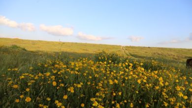 Photo of حالة الطقس: ارتفاع على درجات الحرارة