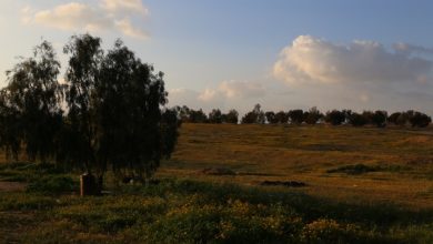 Photo of الطقس: أجواء صافية ودرجات الحرارة حول معدلها السنوي