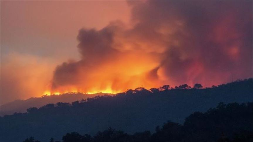 Photo of أستراليا تعلن حالة الطوارئ في ولايتين بسبب الحرائق