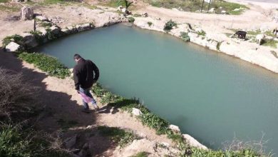 Photo of حرمان الفلسطينيين من الوصول لعين ماء جنوب القدس