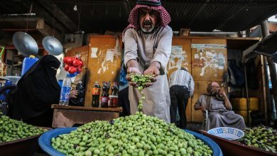 Photo of غزة: للزيتون موسمه… وسوقه