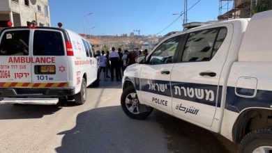 Photo of 10 أطفال بينهم 7 عرب لقوا مصارعهم دهسا منذ مطلع العام