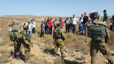 Photo of إصابة واعتقال 3 مزارعين إثر هجوم المستوطنين عليهم ببلدة حوارة