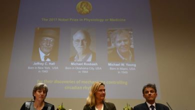 Photo of أميركيان وبريطاني يفوزون بنوبل للطب عن اكتشافهم كيف تستشعر الخلايا الأكسجين