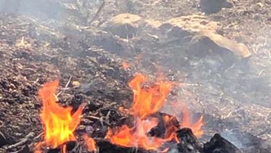 Photo of في ظل الأجواء الحارة: حرائق كبيرة في عدة بلدات عربية