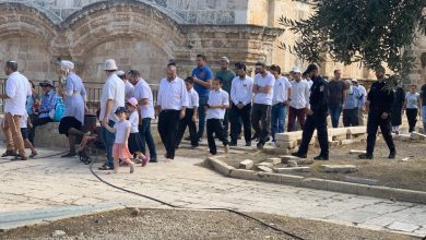 Photo of مركز يطالب المجتمع الدولي واليونسكو بالتحرك لوقف اقتحامات الأقصى