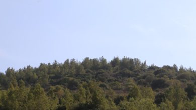 Photo of حالة الطقس: انخفاض طفيف في درجات الحرارة