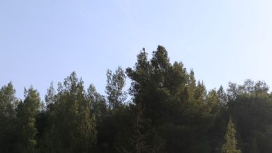 Photo of حالة الطقس: أجواء باردة وانخفاض على درجات الحرارة