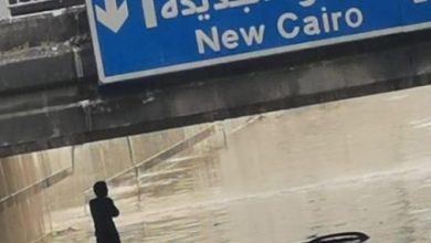 Photo of إيقاف جميع الرحلات السياحية بمصر وارتفاع أعداد الضحايا