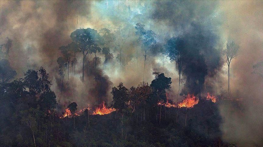 Photo of حريق غابات يخلف أضرارا واسعة في ولاية كاليفورنيا