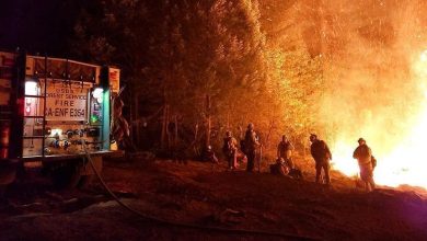 Photo of حرائق كاليفورنيا.. تدمير منازل وقطع كهرباء وإجلاء الآلاف