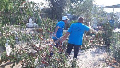 Photo of انطلاق معسكر الرباط في اللد