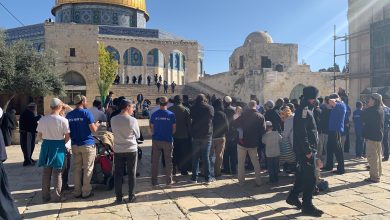 Photo of الأردنّ يحذر من استمرار انتهاكات الاحتلال بحق الأقصى