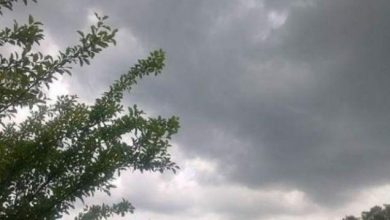 Photo of حالة الطقس: أجواء باردة