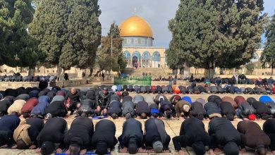 Photo of 25 ألفًا يؤدون “الجمعة” في رحاب الأقصى المبارك