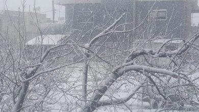 Photo of حالة الطقس: منخفض جوي مصحوب بكتلة هوائية قطبية حتى الأحد