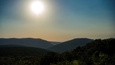 Photo of حالة الطقس: انخفاض طفيف على الحرارة