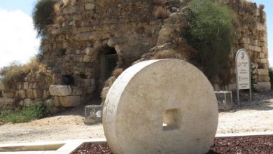 Photo of مجزرة قرية يازور الساحلية… مشهد يلخص النكبة وحجم الكارثة