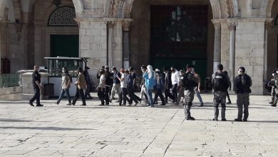 Photo of اعتقال 5 شبان من داخل المسجد.. مجموعات استيطانية تقتحم باحات “الأقصى”