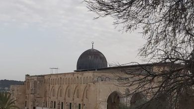 Photo of “القدس الدولية” تحذر: الساحة الجنوبية الغربية بالأقصى معرضة لخطر بنيوي