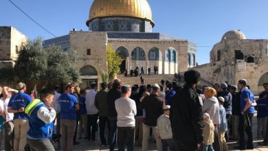 Photo of عشرات المستوطنين يقتحمون المسجد الأقصى