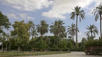 Photo of حالة الطقس: أجواء شديدة الحرارة