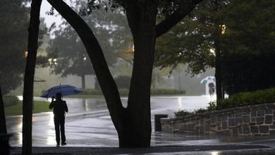 Photo of حالة الطقس: غائم جزئيا وأمطار محلية