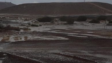 Photo of حالة الطقس: ارتفاع طفيف على درجات الحرارة