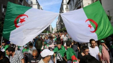 Photo of أكبر حزب إسلامي بالجزائر: بيان “هيئة علماء السعودية” ينشر الفتنة