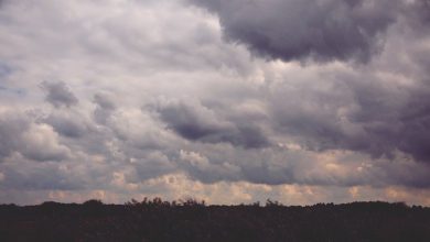 Photo of حالة الطقس: أجواء غائمة وباردة وأمطار متفرقة