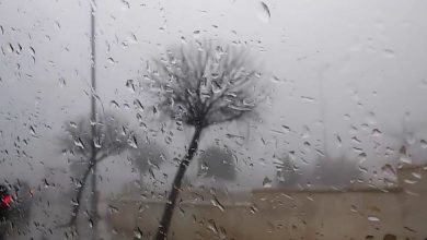 Photo of منخفض جوي مصحوب بعواصف رعدية يضرب البلاد