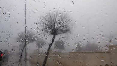 Photo of منخفض جوي مصحوب بعواصف رعدية يضرب البلاد